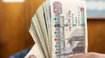 بوابة الاستعلام.. مواقع صرف معاش تكافل وكرامة لشهر فبراير وشروط الاستحقاق الجديدة